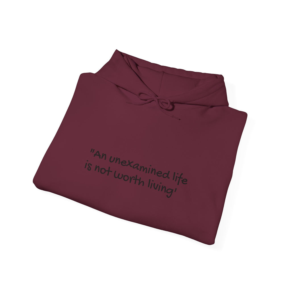 Embroidered Gothic Angel Wings Hoodie – 'An Unexamined Life...' Inspirational Pullover