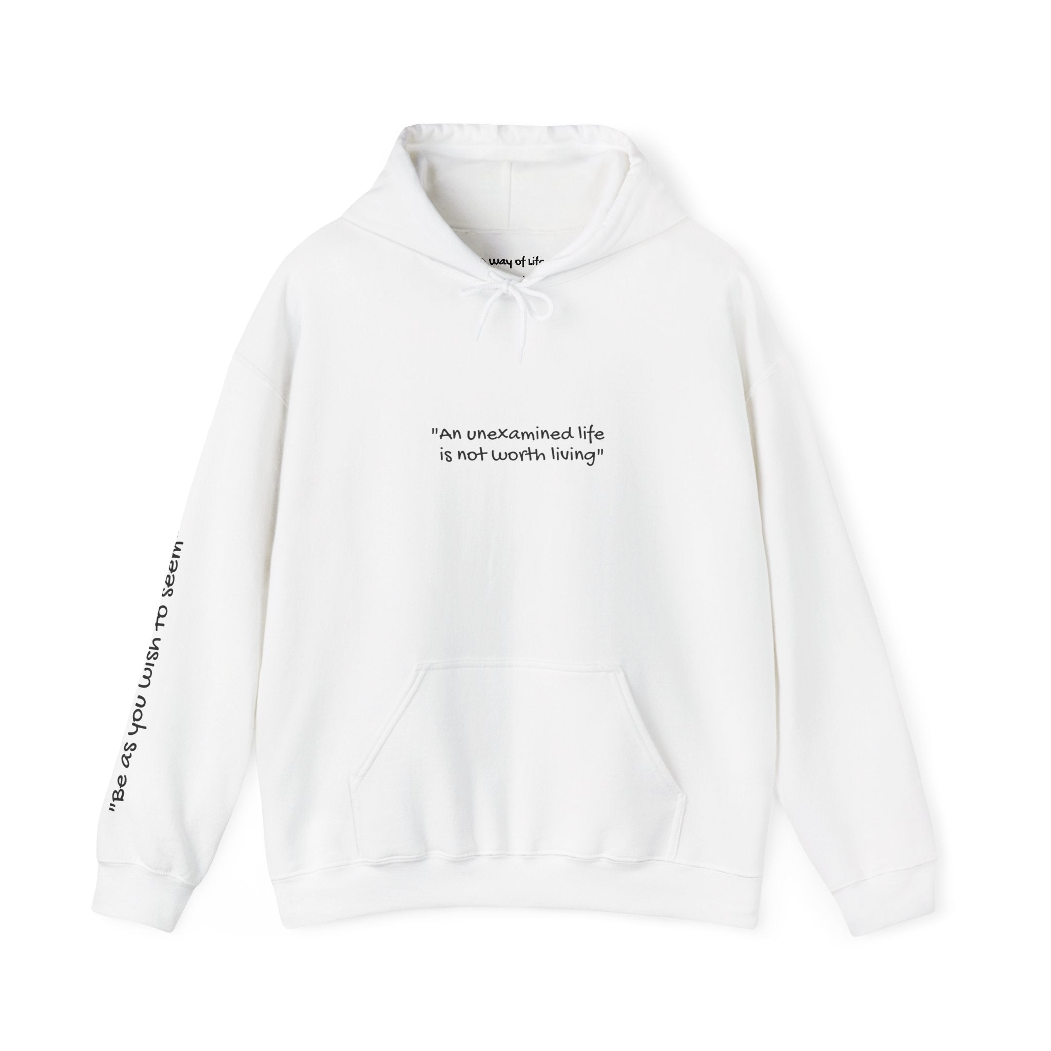 “An unexamined life is not worth living” pullover hoodie