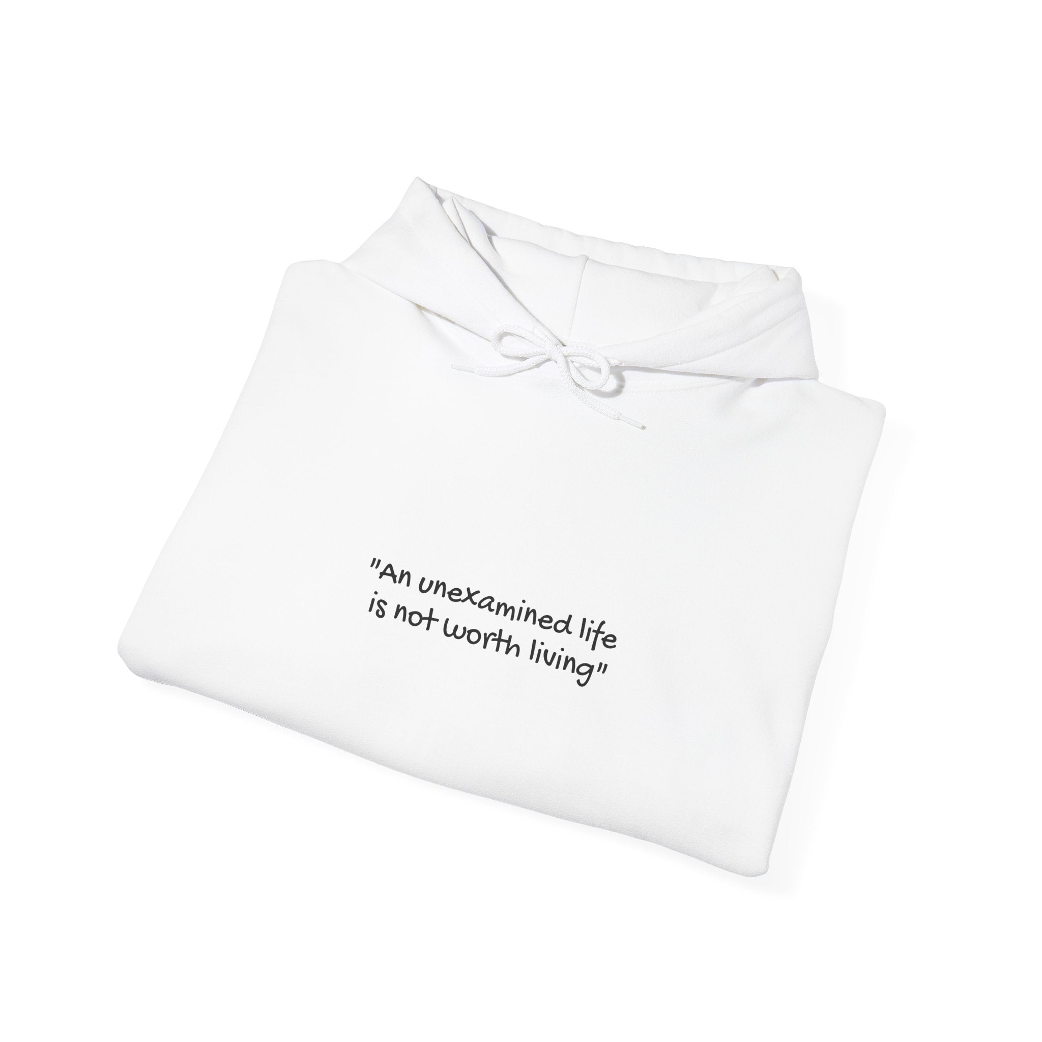 “An unexamined life is not worth living” pullover hoodie